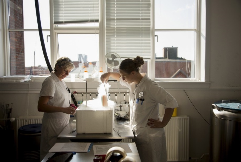 Ngan hang tinh trung lon nhat the gioi anh 2