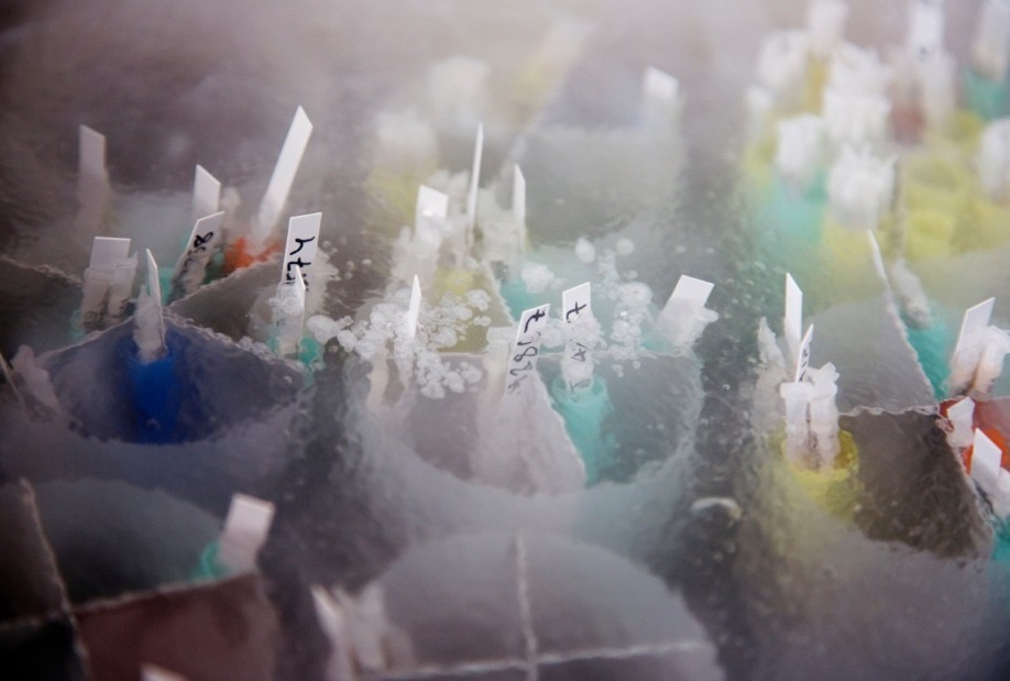 Ngan hang tinh trung lon nhat the gioi anh 3