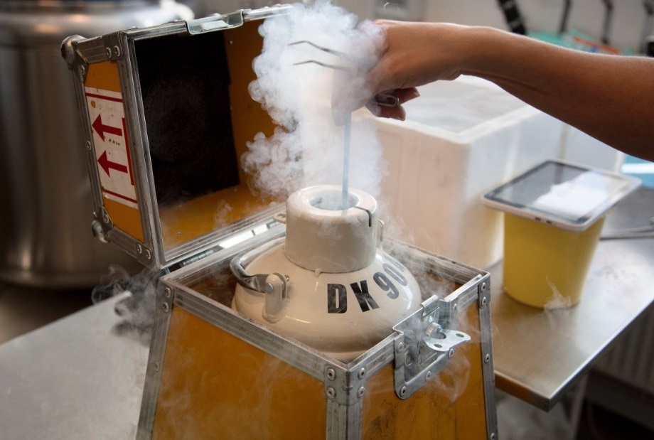 Hoat dong ben trong ngan hang tinh trung lon nhat the gioi hinh anh