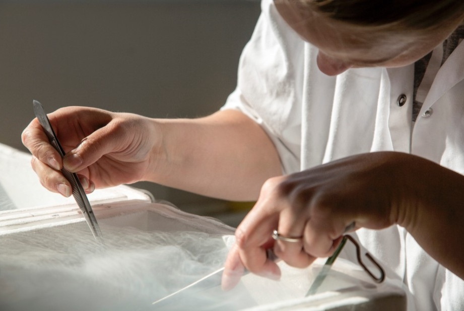 Ngan hang tinh trung lon nhat the gioi anh 7