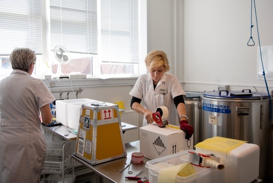 Ngan hang tinh trung lon nhat the gioi anh 8