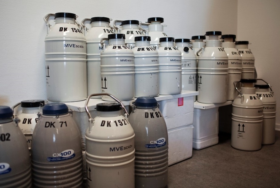 Ngan hang tinh trung lon nhat the gioi anh 9