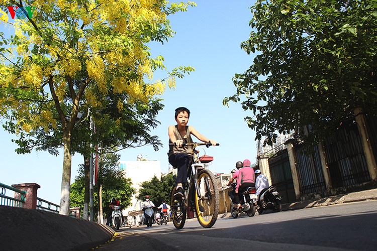 Muong hoang yen no ro anh 8