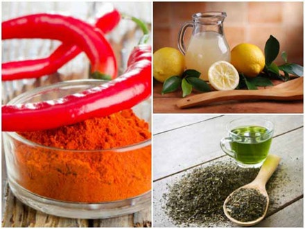 thức uống giải độc cơ thể ảnh 1 thuc uong giai doc co the anh 1