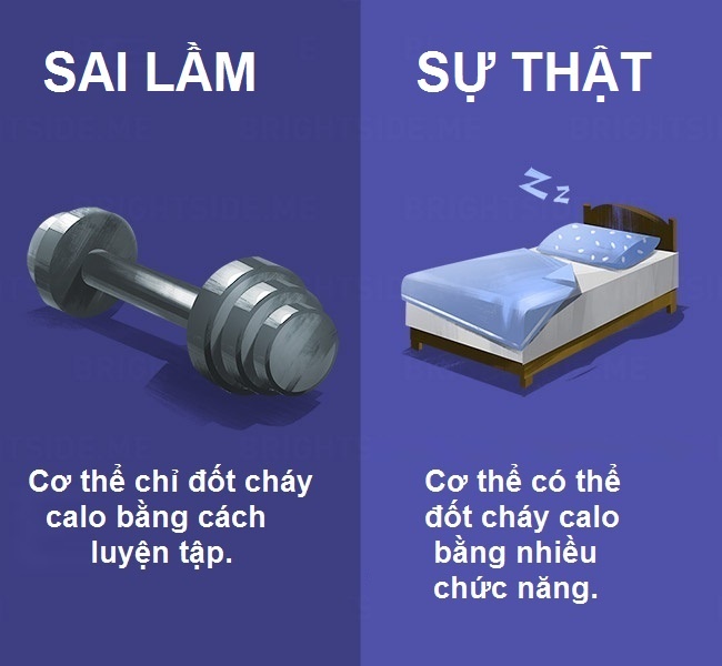 Quan niệm sai lầm về ăn uống ảnh 14 Quan niem sai lam ve an uong anh 14