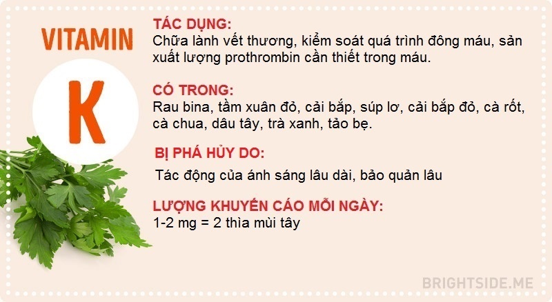 Điều cần biết về các loại vitamin ảnh 10 Dieu can biet ve cac loai vitamin anh 10