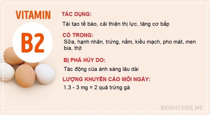 Điều cần biết về các loại vitamin ảnh 3 Dieu can biet ve cac loai vitamin anh 3