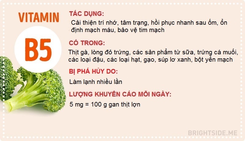 Điều cần biết về các loại vitamin ảnh 4 Dieu can biet ve cac loai vitamin anh 4