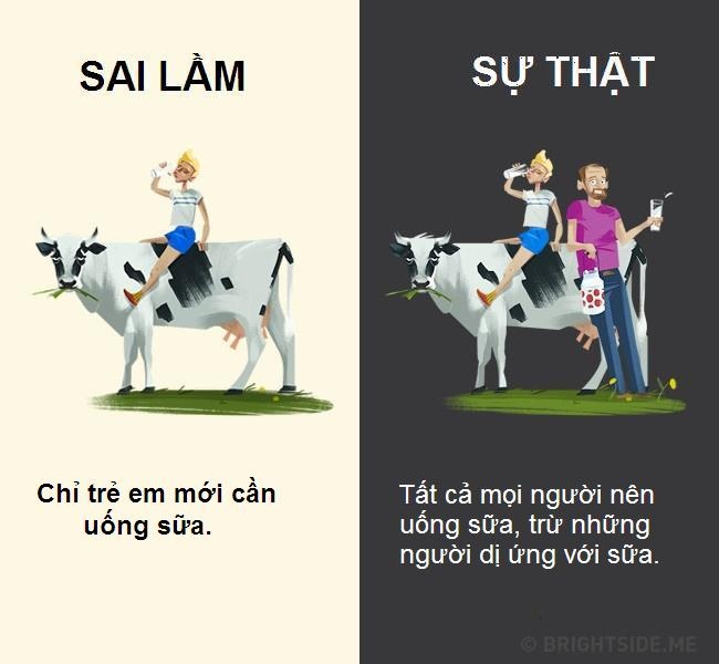 Quan niệm sai lầm về đồ uống ảnh 3 Quan niem sai lam ve do uong anh 3