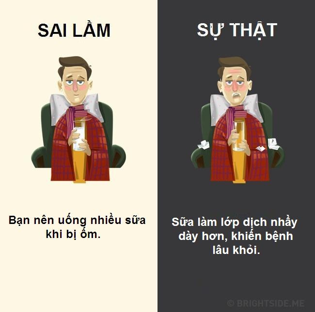 Quan niệm sai lầm về đồ uống ảnh 6 Quan niem sai lam ve do uong anh 6