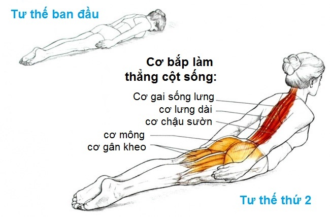 Động tác giảm đau lưng ảnh 1 Dong tac giam dau lung anh 1