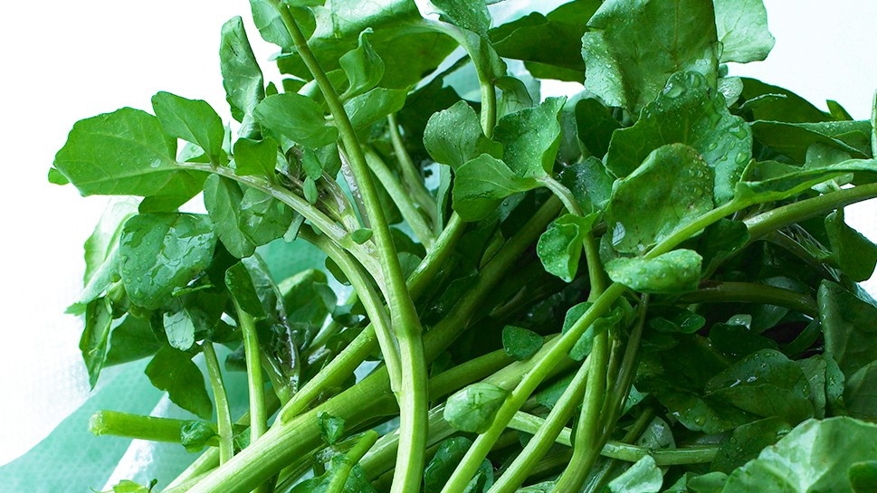 Cac loai rau xanh giup thai doc anh 6