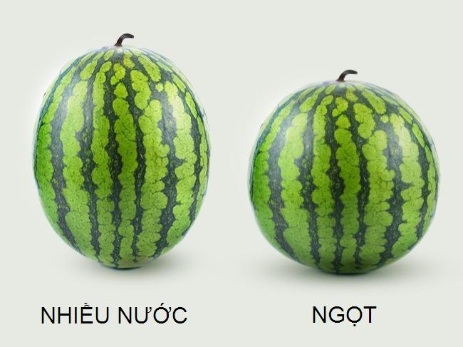 Cách chọn dưa hấu ngon ảnh 3 Cach chon dua hau ngon anh 3