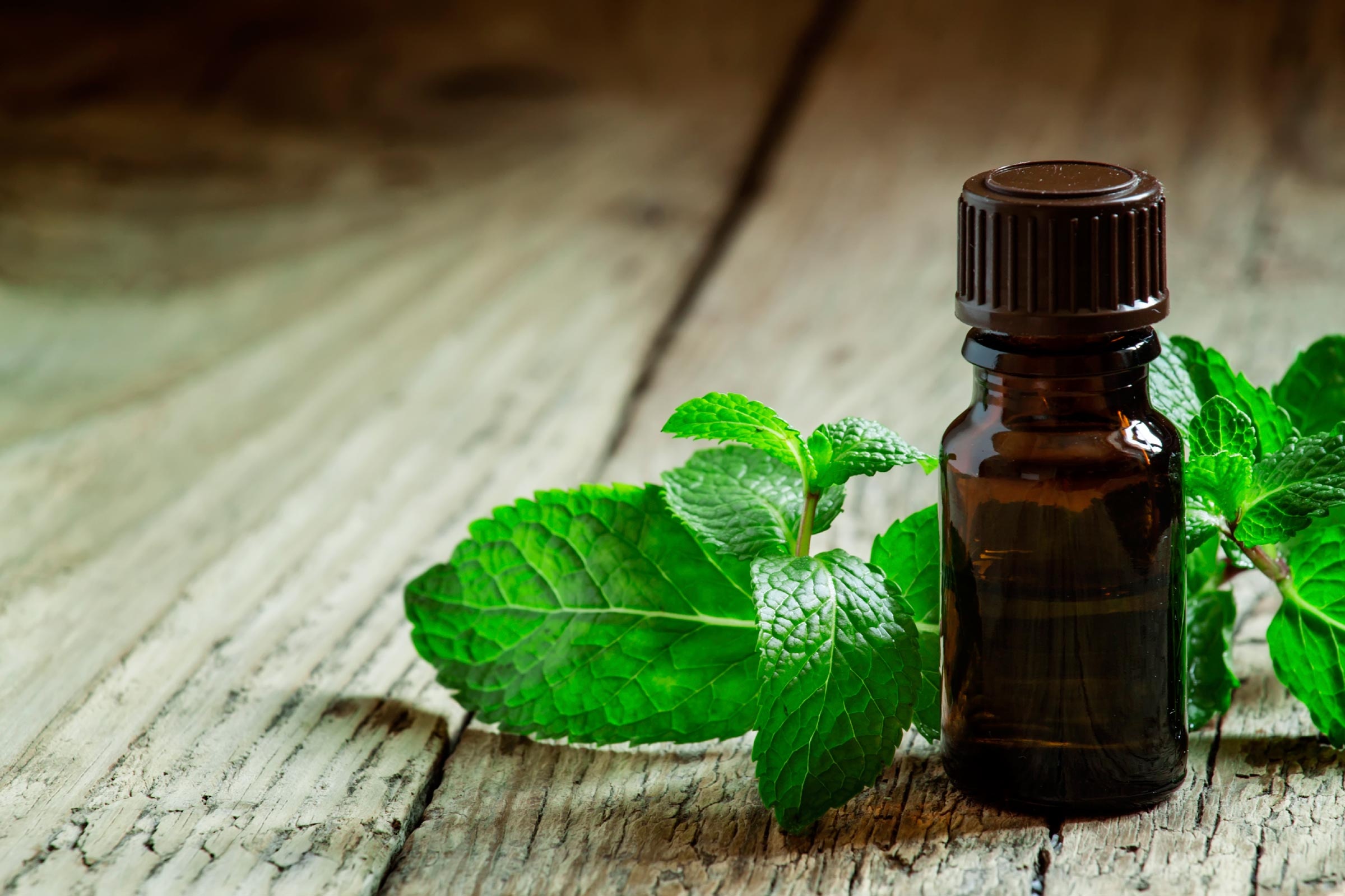 Mẹo chống lại cơn buồn ngủ buổi chiều ảnh 4 Meo chong lai con buon ngu buoi chieu anh 4