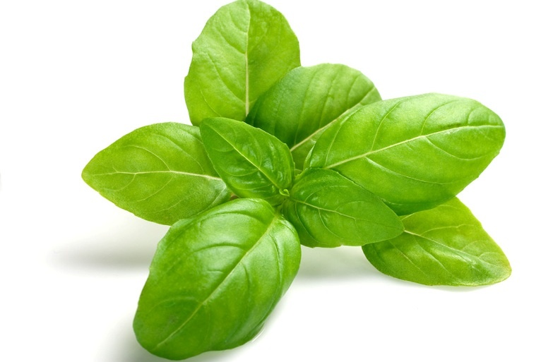 Phuong phap tu nhien dieu tri mun coc anh 4