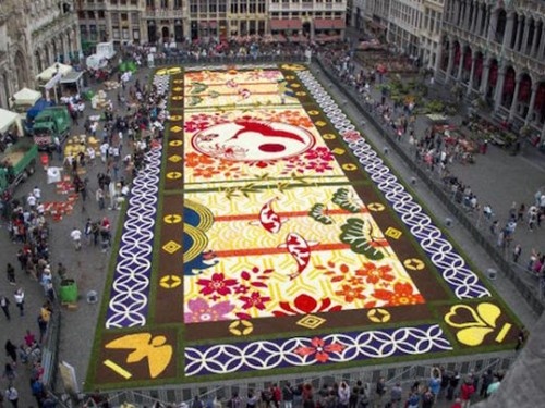 600.000 bong hoa tao nen tham hoa khong lo o Bi hinh anh