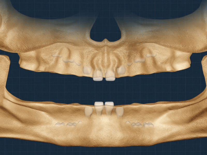 Rang moc va rung nhu the nao? hinh anh