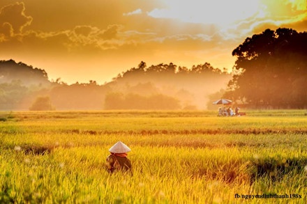 Bo anh dong que Bac bo anh 1