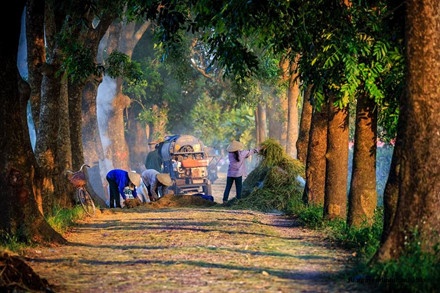 Bo anh dong que Bac bo anh 10