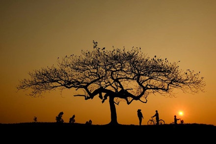 Bo anh dong que Bac bo anh 11