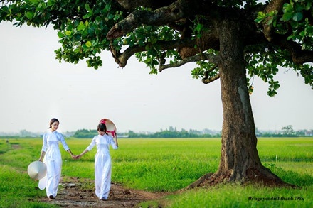 Bo anh dong que Bac bo anh 3