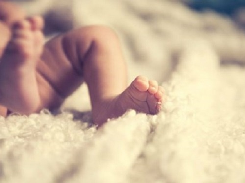 Ky thuat sinh con 'ba cha me' thanh cong hinh anh