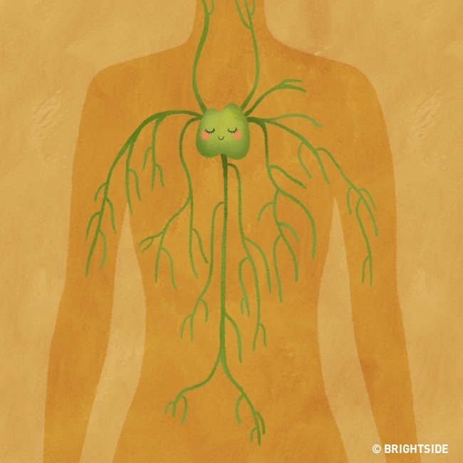 Tac dung cua viec nam ngu nghieng ben trai anh 1