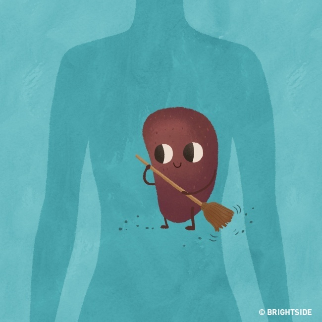 Tac dung cua viec nam ngu nghieng ben trai anh 2