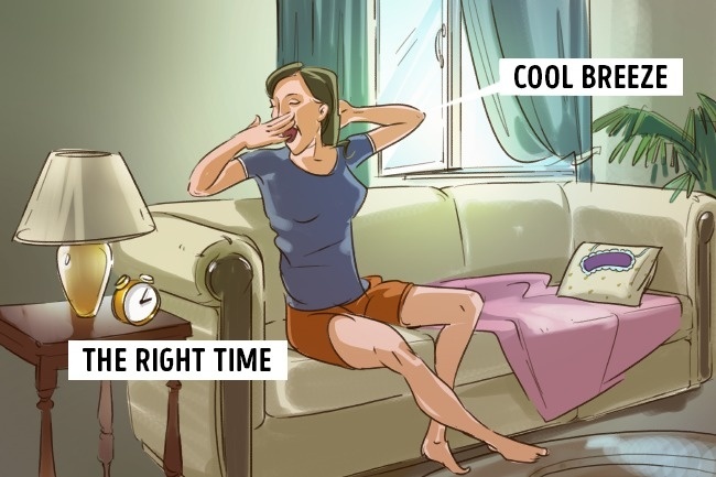 Điều gì xảy ra sau khi ngủ trưa ảnh 6 Dieu gi xay ra sau khi ngu trua anh 6