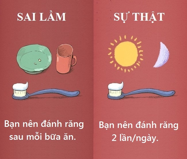 Quan niệm tưởng lành mạnh nhưng là sai lầm ảnh 5 Quan niem tuong lanh manh nhung la sai lam anh 5