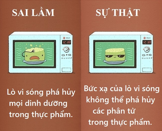 Quan niệm tưởng lành mạnh nhưng là sai lầm ảnh 8 Quan niem tuong lanh manh nhung la sai lam anh 8