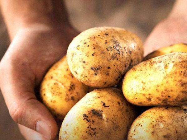 Thực phẩm tốt cho nam giới ảnh 8 Thuc pham tot cho nam gioi anh 8