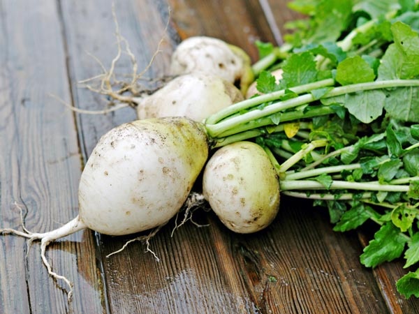 Thuc pham tang chieu cao hieu qua anh 1