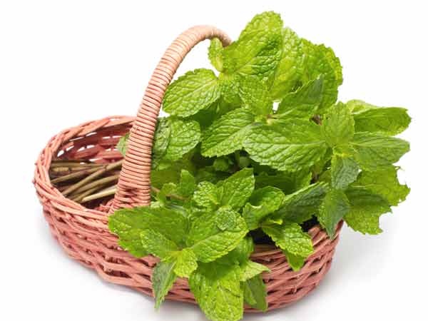 Thuc pham lam giam ham muon yeu anh 6