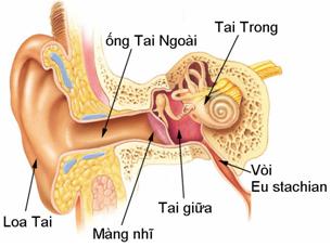 Sai lầm khi xử trí viêm tai giữa ở trẻ ảnh 1 Sai lam khi xu tri viem tai giua o tre anh 1