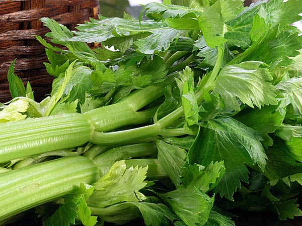 Thuc pham kich thich ham muon 'yeu' cho nu gioi anh 6