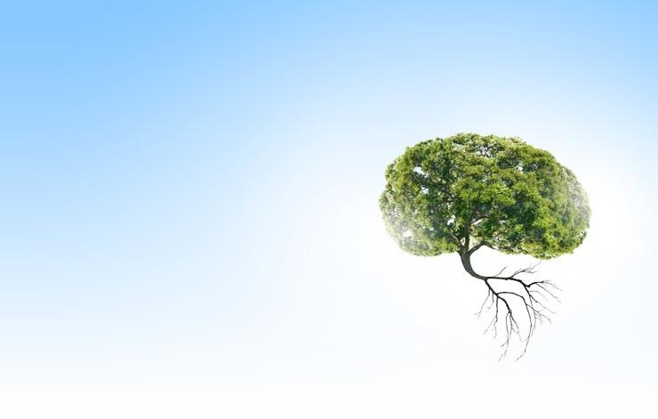 Dau hieu phoi co van de anh 3