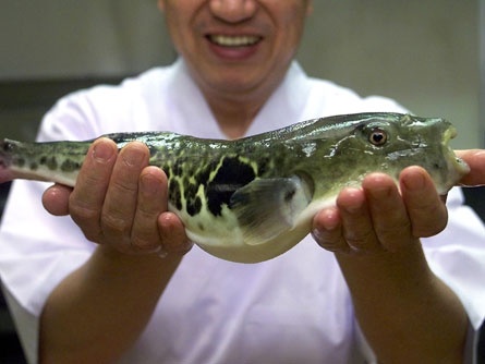 Thuc pham gay chet nguoi anh 7