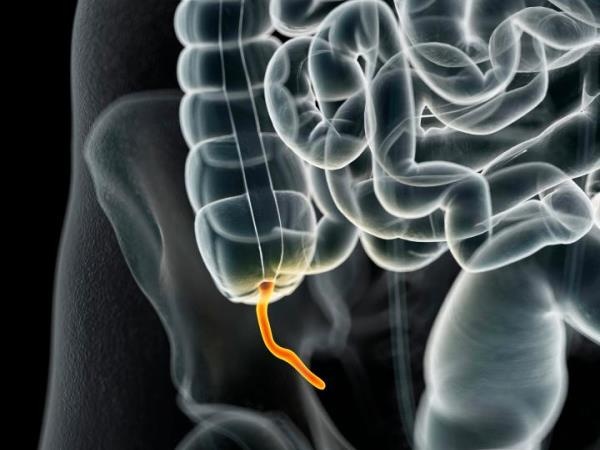 Loi ich khong the ngo cua ruot thua voi he mien dich hinh anh