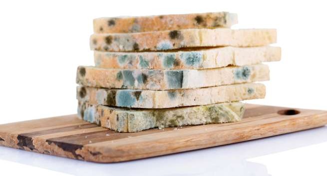 Dau hieu thuc pham bi oi thiu anh 5