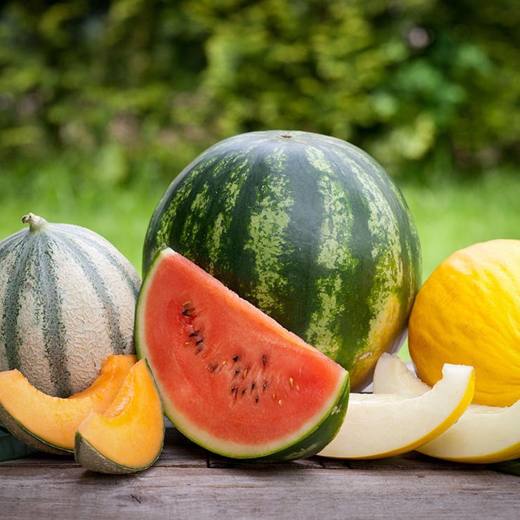 Thuc pham tranh day bung anh 7