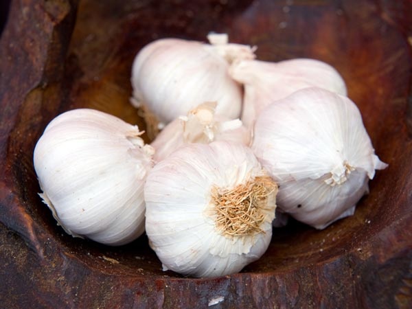 9 thuc pham tot cho tuyen tuy ban nen an hang ngay hinh anh