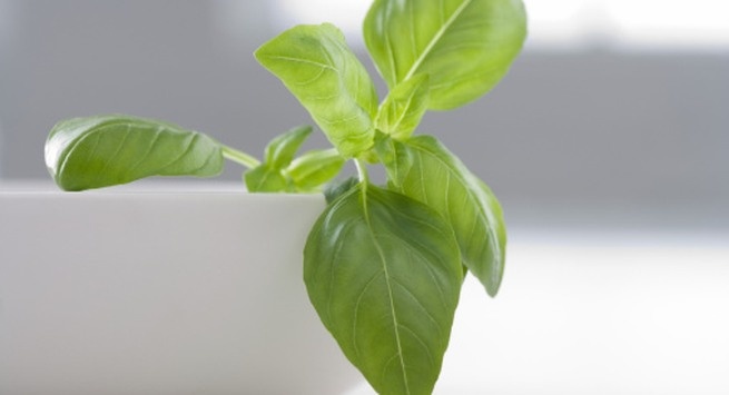 Thuc pham nen ket hop voi sua anh 5