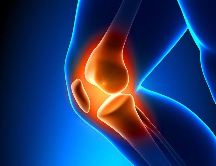 Dau hieu gan yeu anh 3