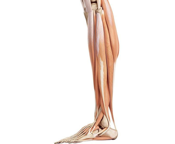 Dau hieu gan yeu anh 6