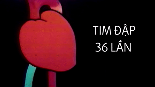 Dieu gi xay ra voi co the trong 30 giay? hinh anh