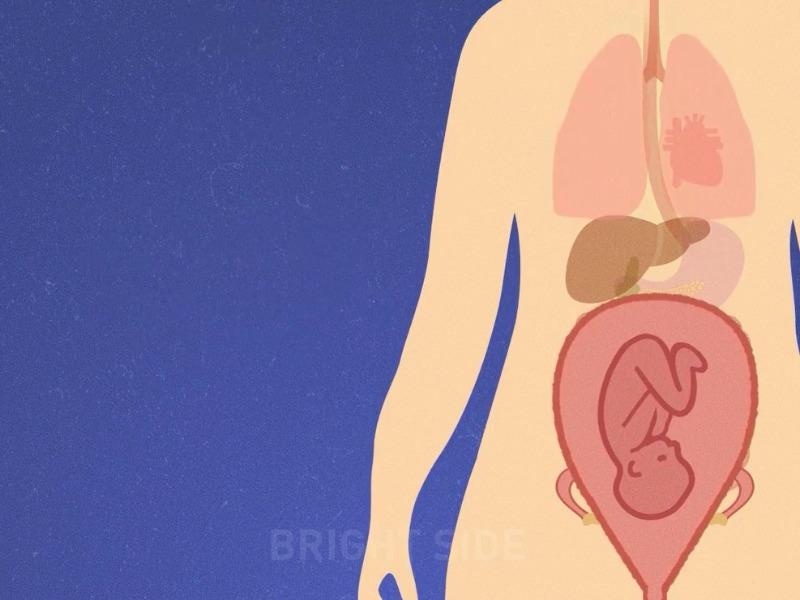 Dieu gi xay ra voi co the phu nu khi mang thai? hinh anh