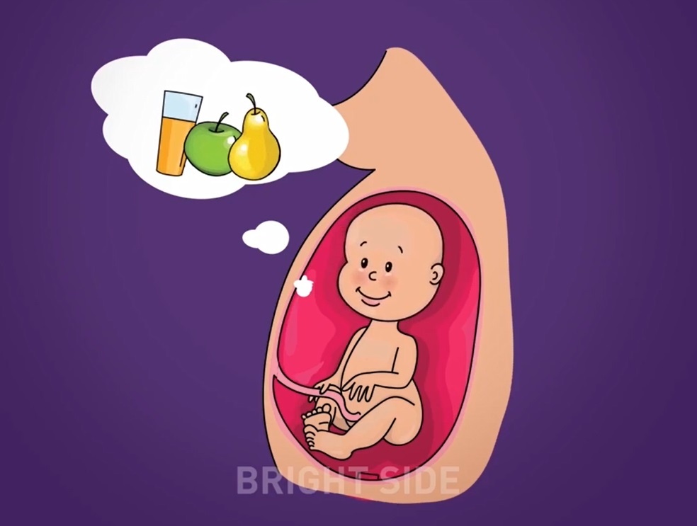 Cam nhan cua thai nhi trong bung me hinh anh