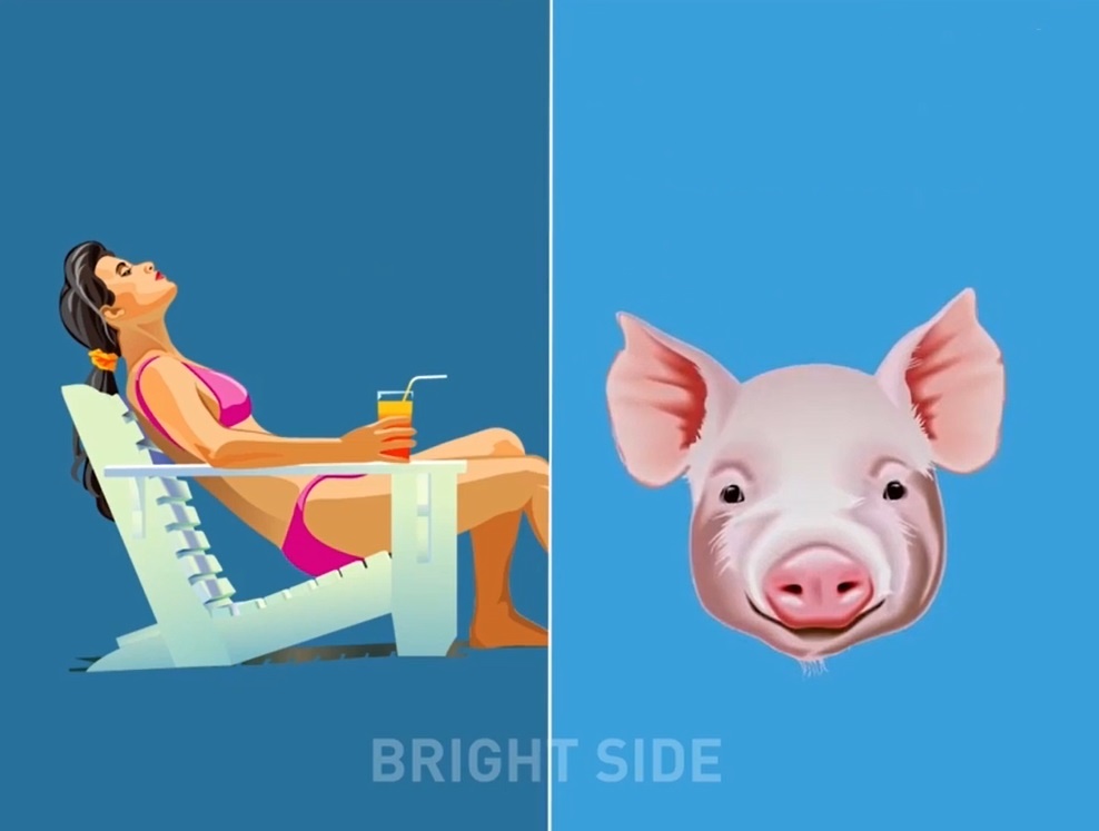 Su giong nhau ky la giua con nguoi va dong vat hinh anh