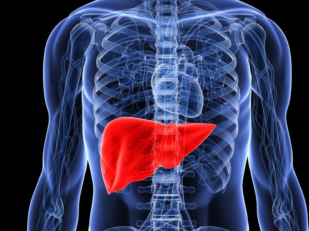 4 cach thai doc gan hieu qua hinh anh